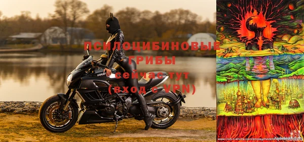 дживик Вязники