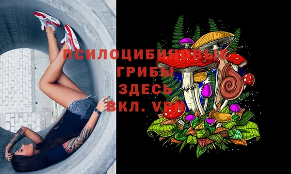 ALPHA-PVP Вязьма