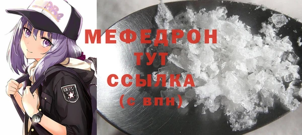 индика Володарск