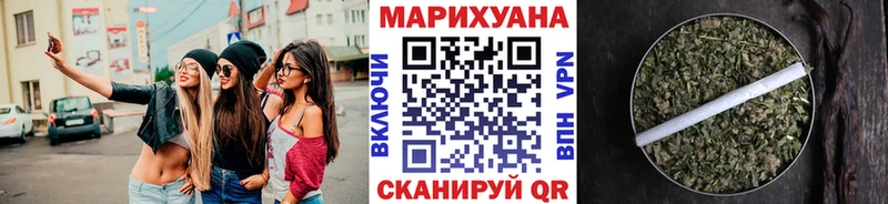 МАРИХУАНА сатива  Сураж 